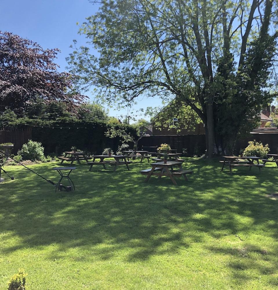 The Honingham Buck Bed and Breakfast Buitenkant foto